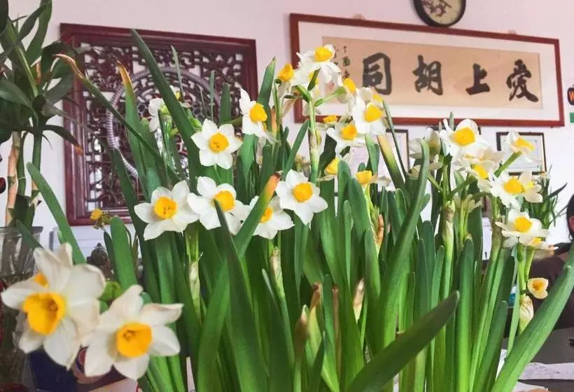 Пансион Hutong Impressions Beijing Guesthouse