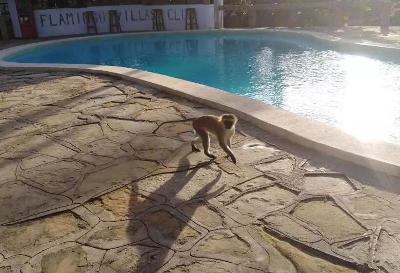 Flamingo Villas Resort