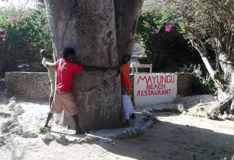 Flamingo Villas Resort