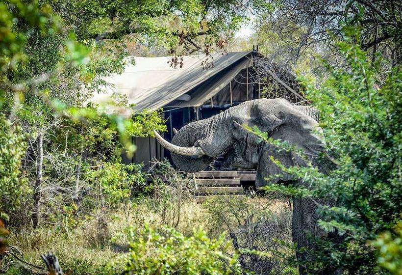 בית מלון כפרי Honeyguide Tented Safari Camps   Mantobeni