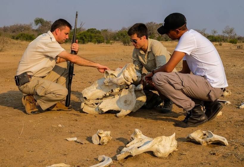 בית מלון כפרי Honeyguide Tented Safari Camps   Mantobeni