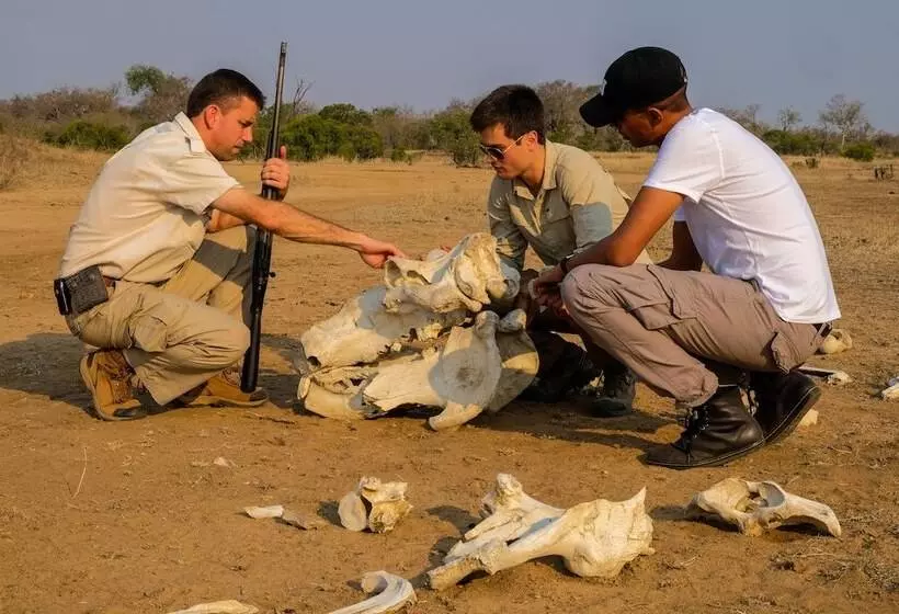 בית מלון כפרי Honeyguide Tented Safari Camps Mantobeni