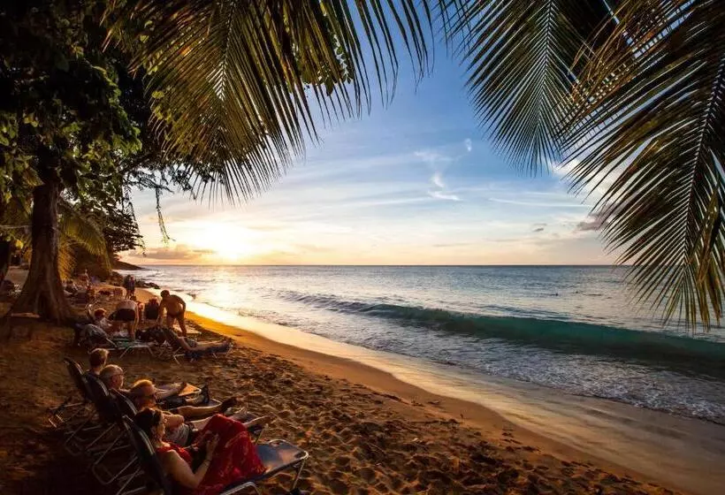 هتل Langley Resort Fort Royal