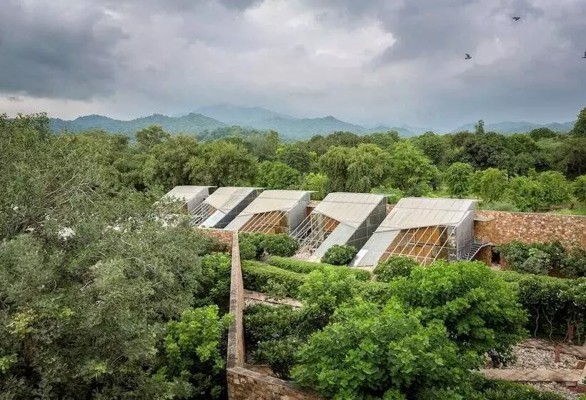 酒店 Mana Ranakpur