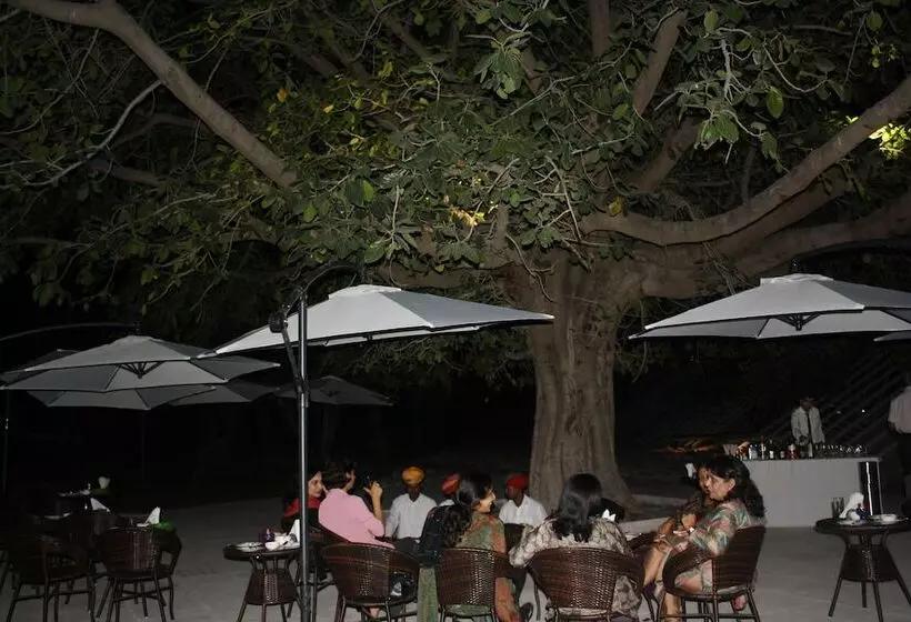 酒店 Mana Ranakpur