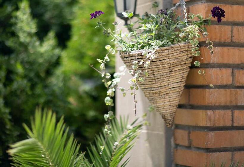 בית מלון כפרי Naslada