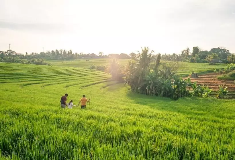 فندق Soka Indah Restaurant & Bungalows