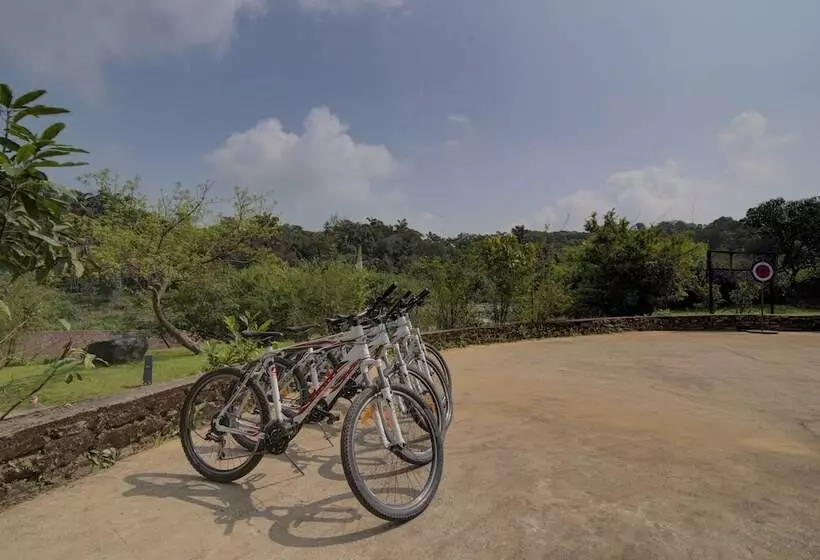 ホテル Taj Madikeri Resort & Spa Coorg