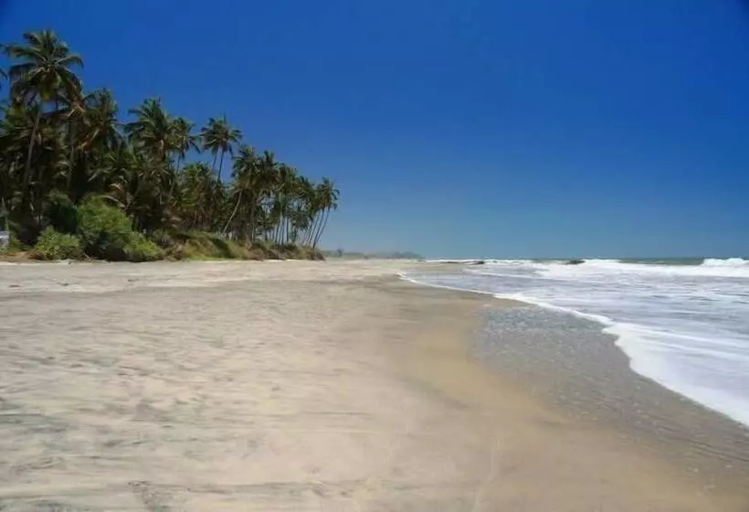 ホテル Tivai Beach Cottages