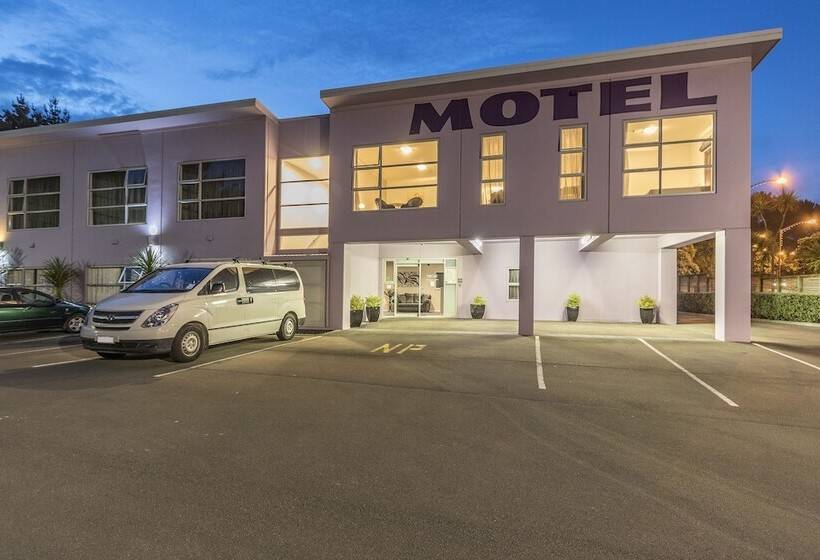 Мотель Amethyst Court Motor Lodge