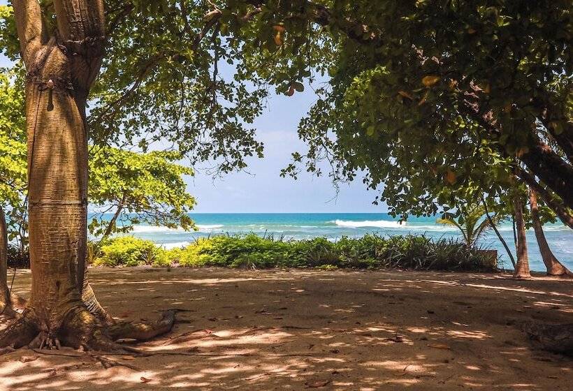 Курорт Florblanca