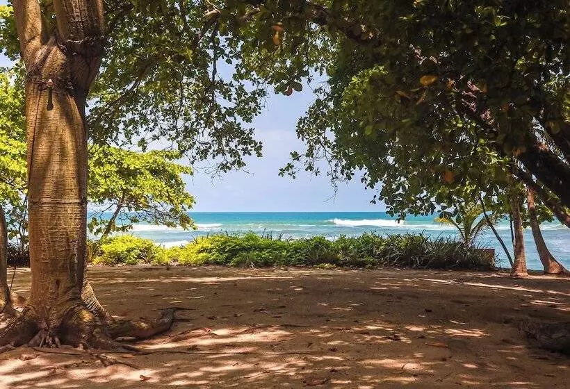 渡假胜地  Florblanca