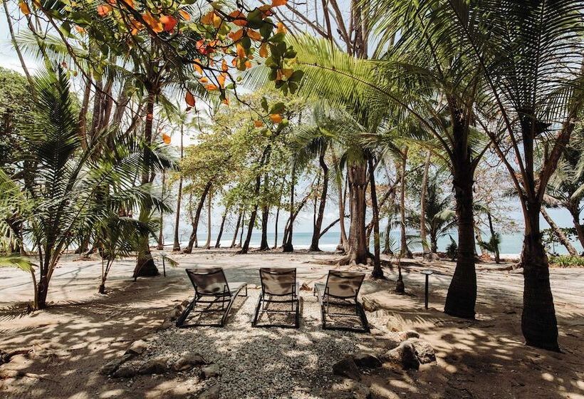 Курорт Florblanca