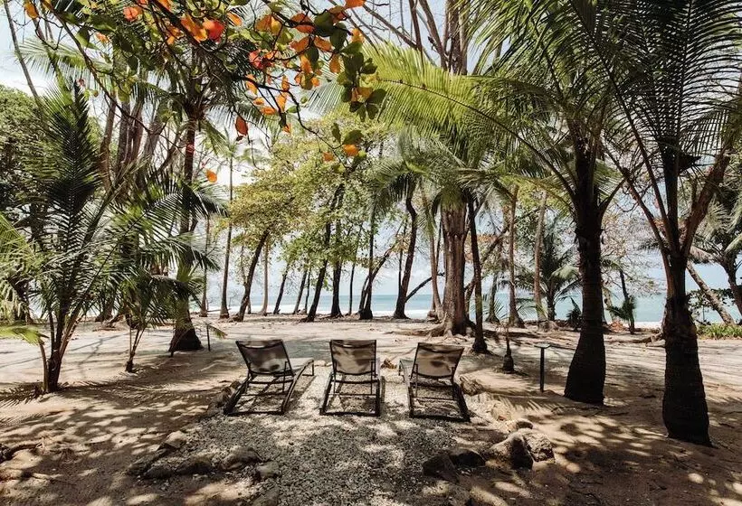 渡假胜地  Florblanca