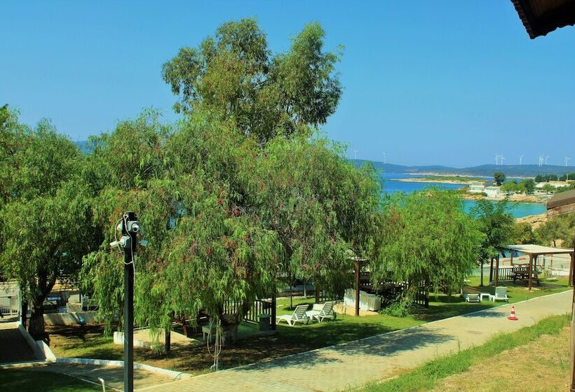 تختخواب و صبحانه Akkum Beach Otel