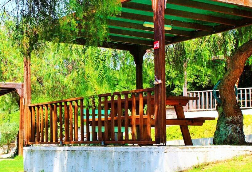 تختخواب و صبحانه Akkum Beach Otel