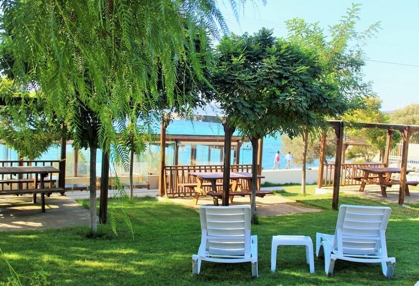 تختخواب و صبحانه Akkum Beach Otel