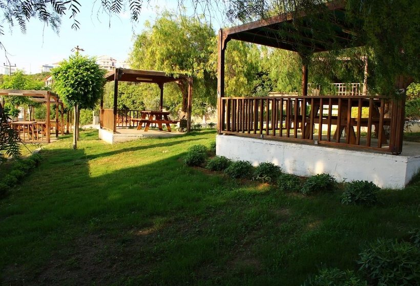 تختخواب و صبحانه Akkum Beach Otel