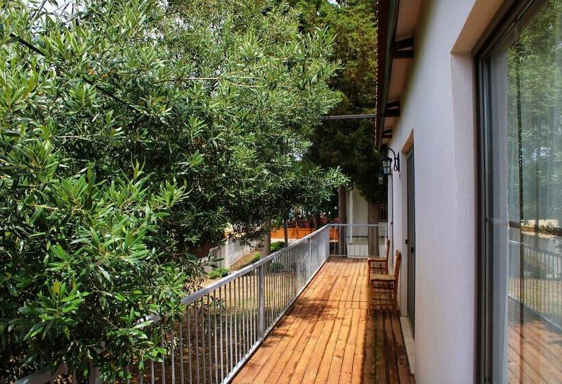 تختخواب و صبحانه Akkum Beach Otel