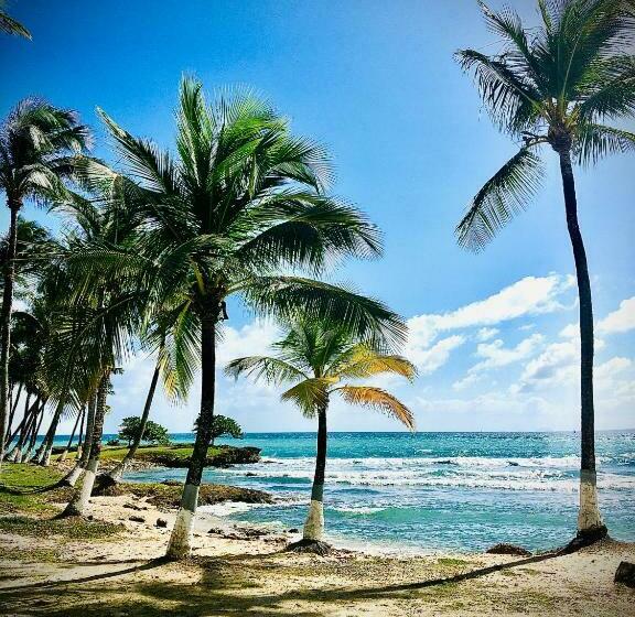 Пансион La Canopée Enchantée, Chambres D Hôtes, Piscine, Proche Aéroport, Gare Maritime