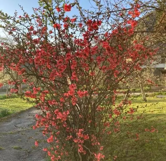 Aamiaismajoitus (B&B) самостоятелни стаи в къща за гости балкан