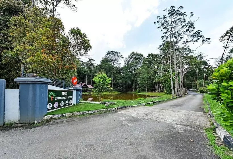 Hotel Usima Forest Resort