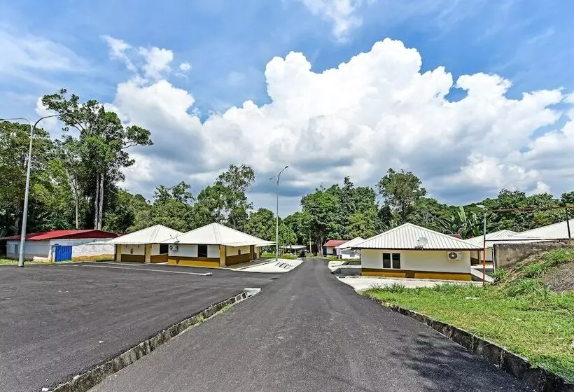 Hotel Usima Forest Resort