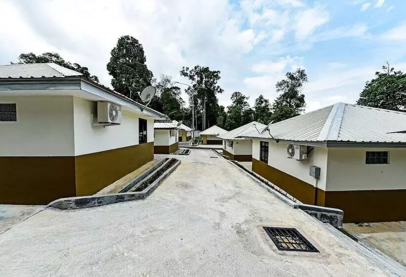 Hotel Usima Forest Resort