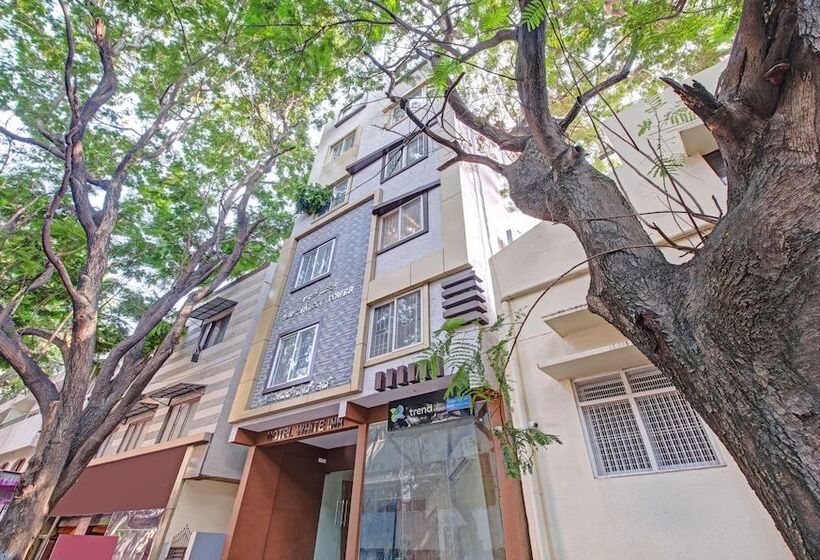 Hotell Treebo White Inn