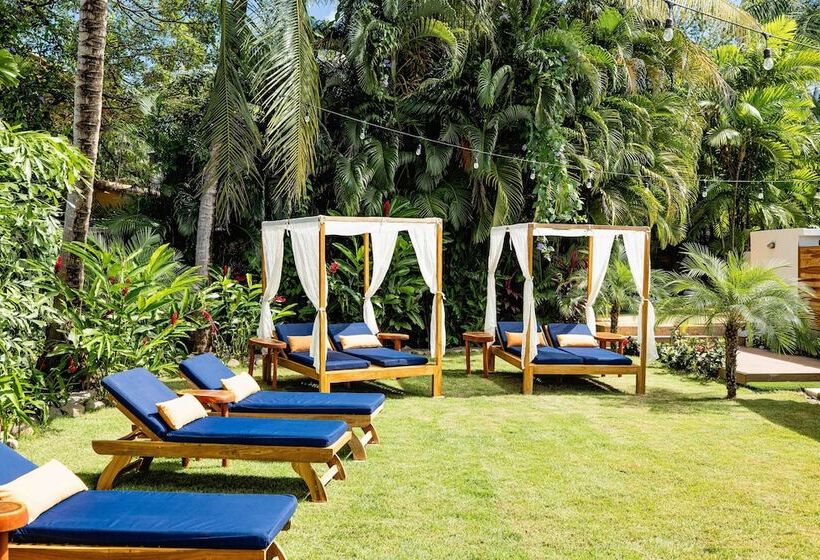 فندق Cafe Playa Negra