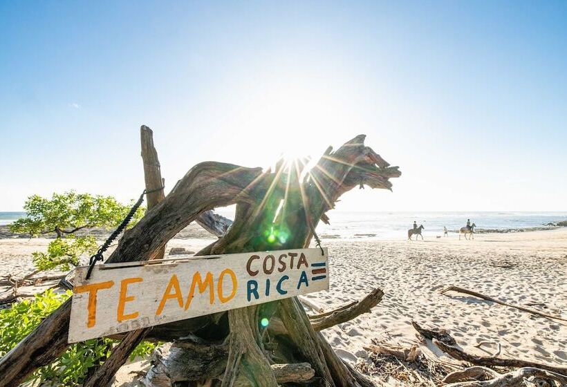 فندق Cafe Playa Negra