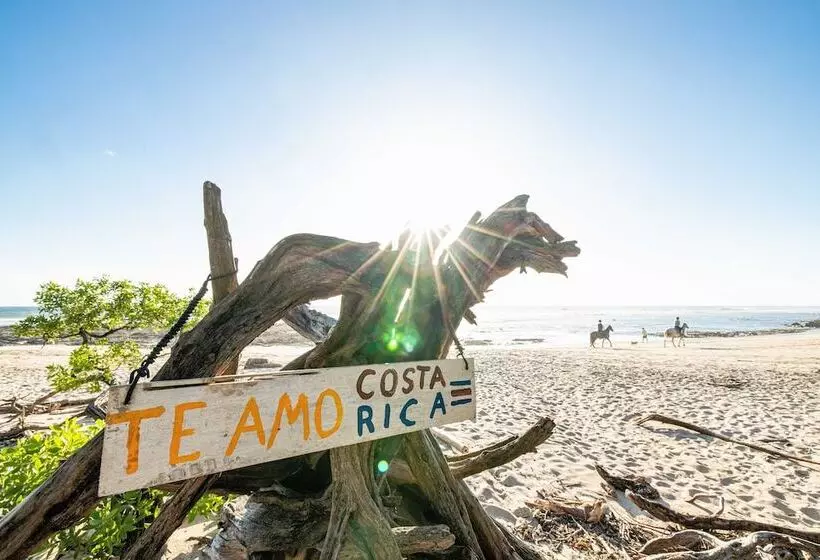 Hotel Cafe Playa Negra