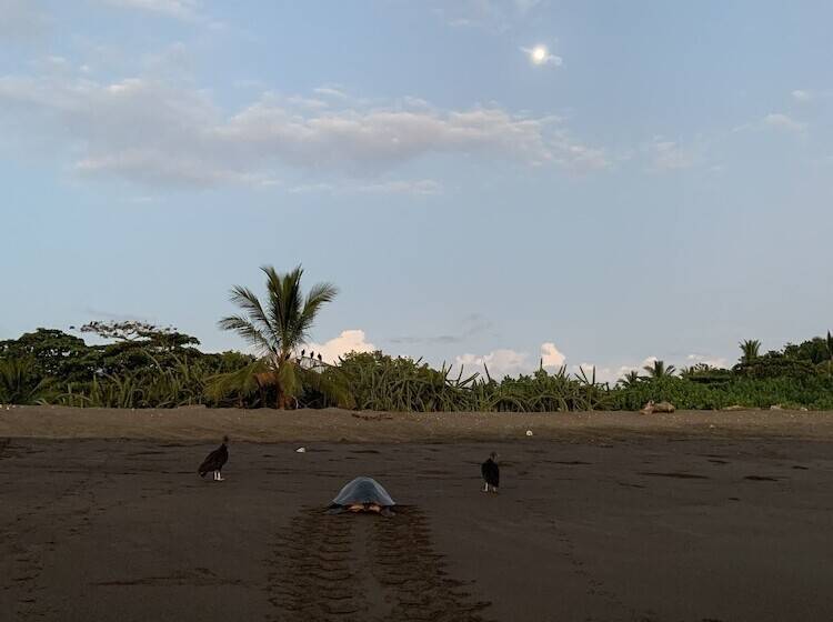 فندق Cafe Playa Negra