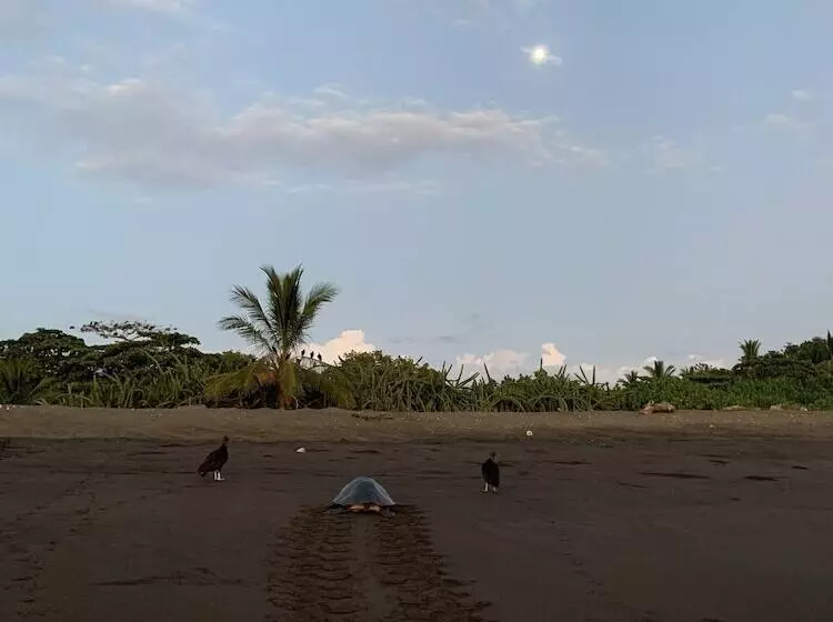 Hotel Cafe Playa Negra