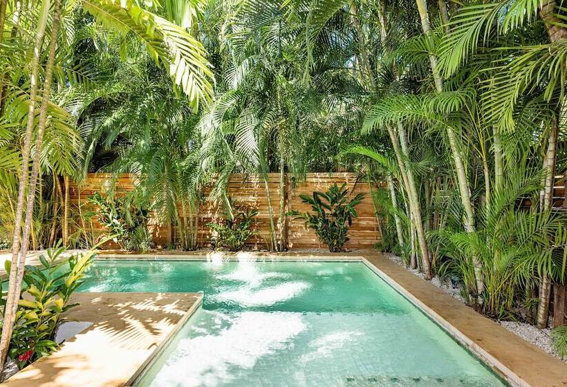 فندق Cafe Playa Negra