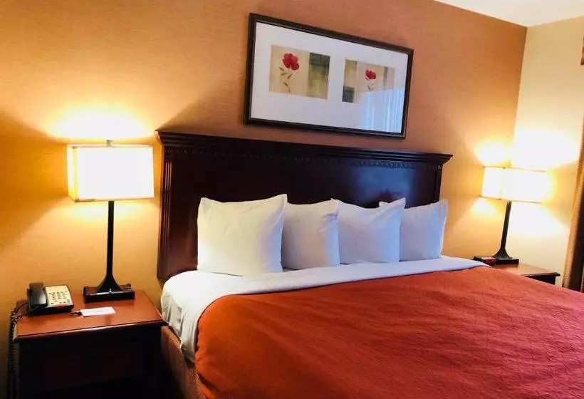 Hôtel Queens County Inn And Suites