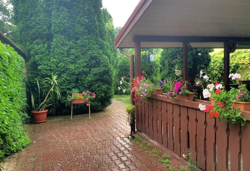 酒店 Pensiunea Doria