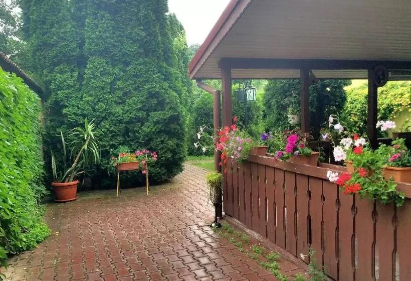 酒店 Pensiunea Doria