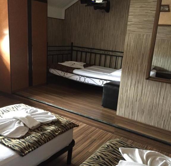 酒店 Pensiunea Doria