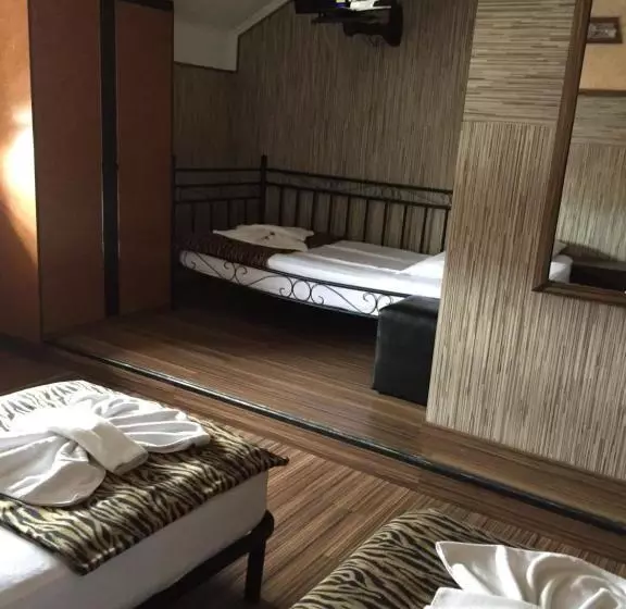 酒店 Pensiunea Doria