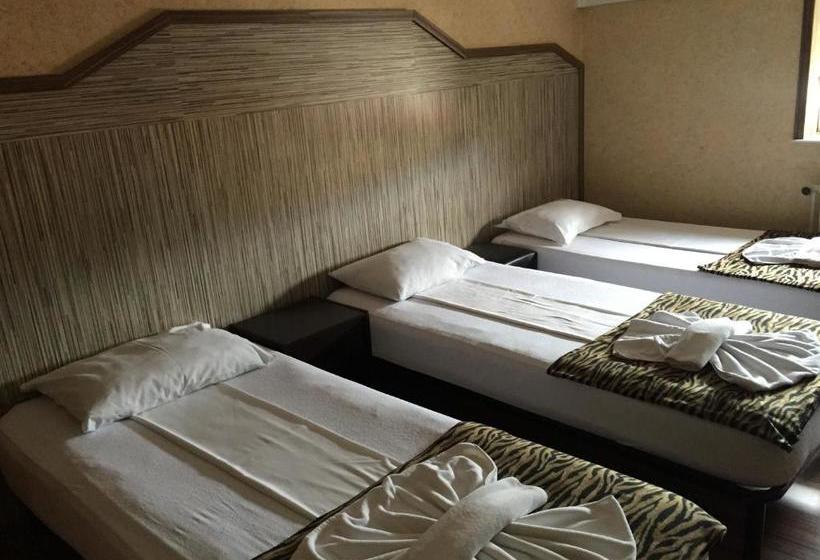 酒店 Pensiunea Doria