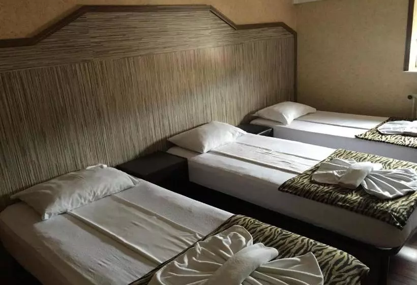 酒店 Pensiunea Doria