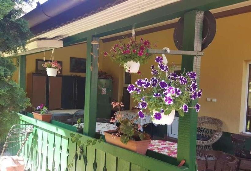 酒店 Pensiunea Doria