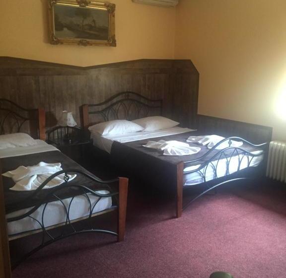 酒店 Pensiunea Doria