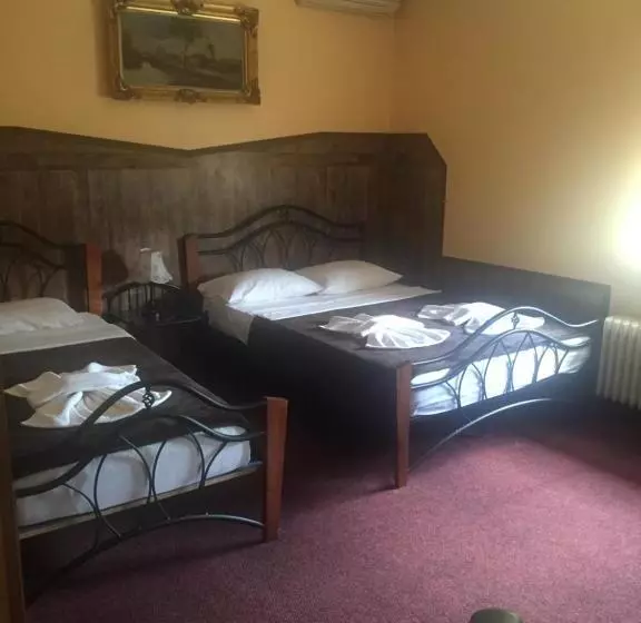 酒店 Pensiunea Doria