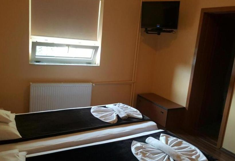 酒店 Pensiunea Doria