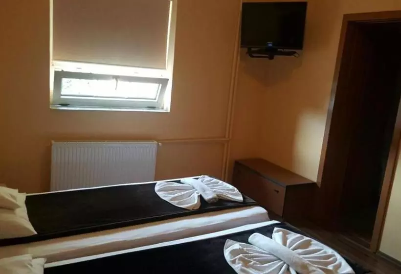 酒店 Pensiunea Doria