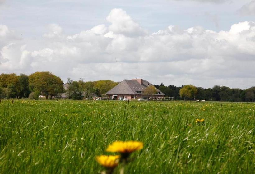 Отель Huis Ten Wolde