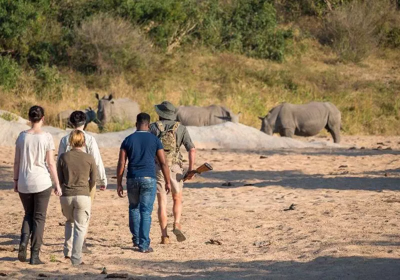 Hotelli Jock Safari Lodge