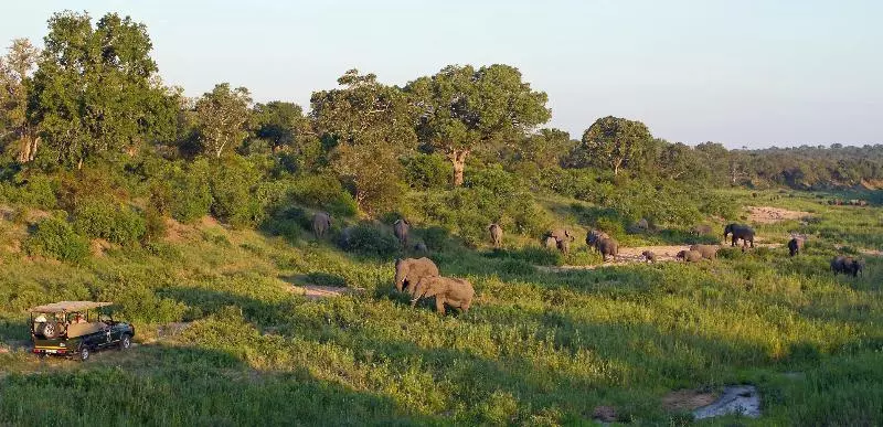 Hotelli Jock Safari Lodge